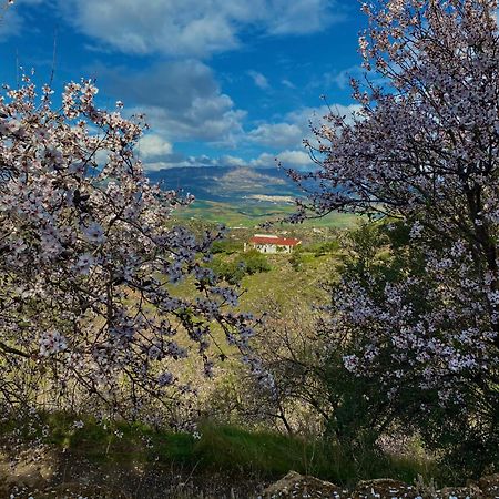 El Sueno, Cortijo Andalusi Del Siglo XIX Villa Almogía Esterno foto