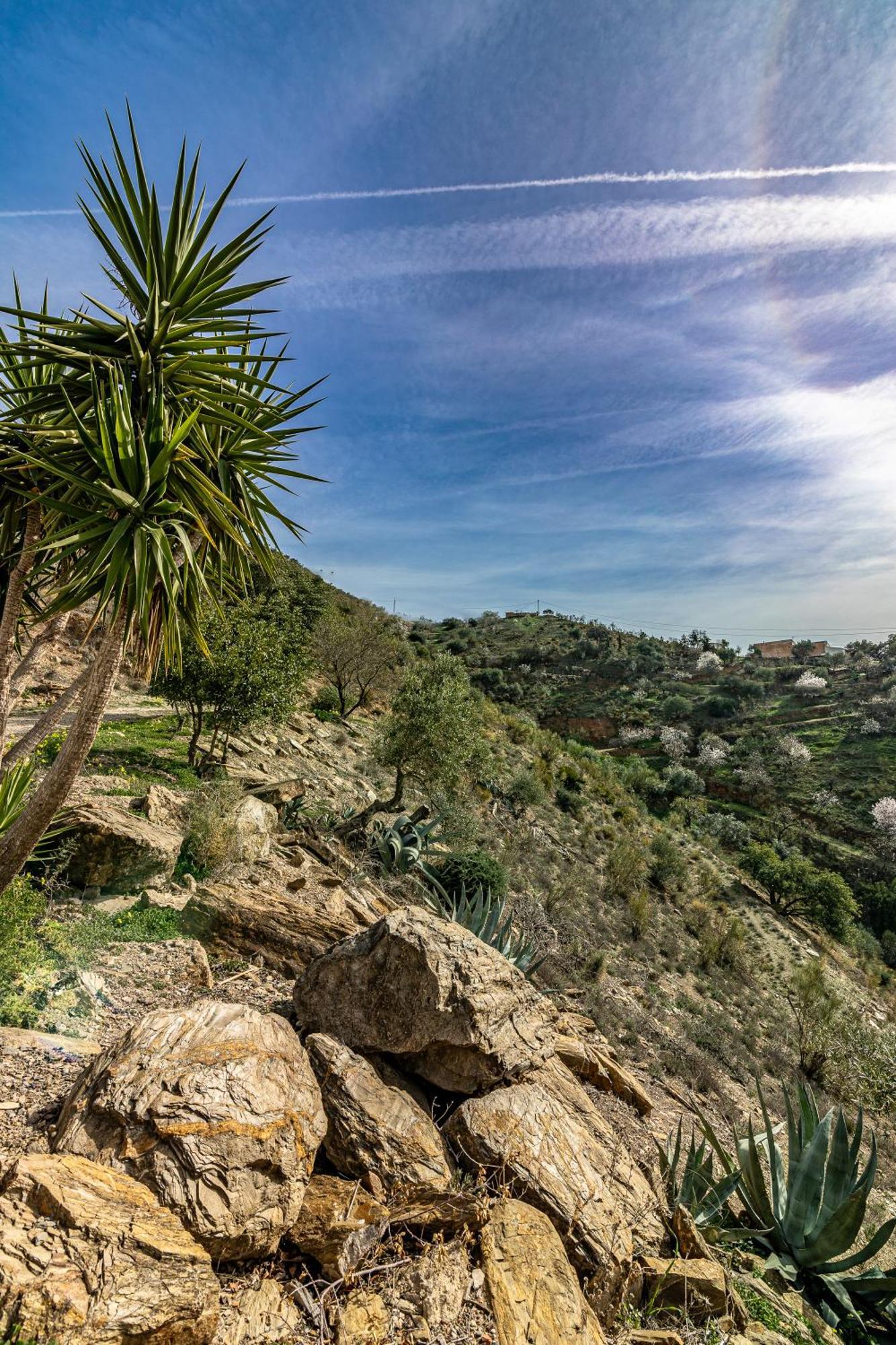 El Sueno, Cortijo Andalusi Del Siglo XIX Villa Almogía Esterno foto