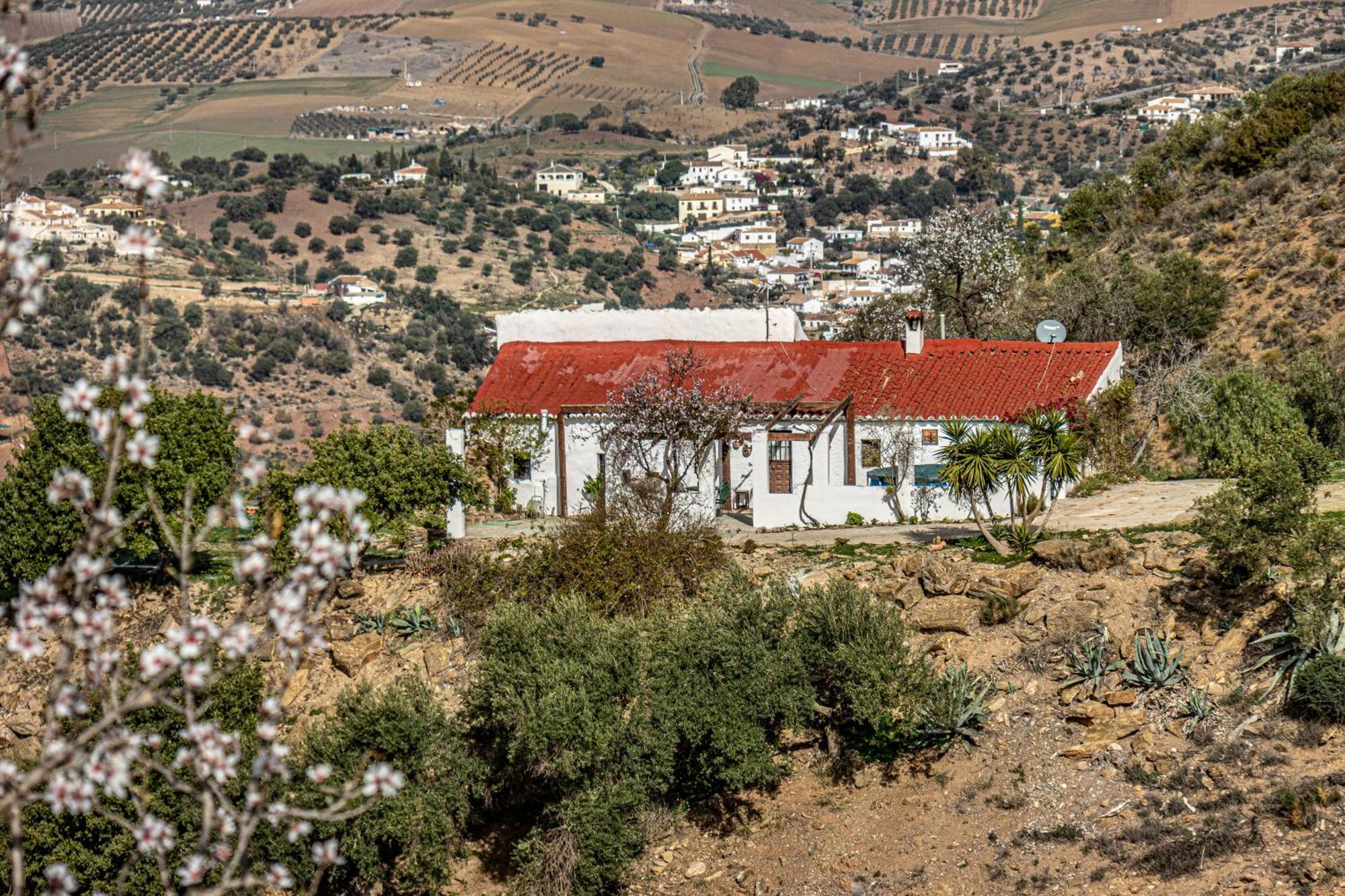 El Sueno, Cortijo Andalusi Del Siglo XIX Villa Almogía Esterno foto