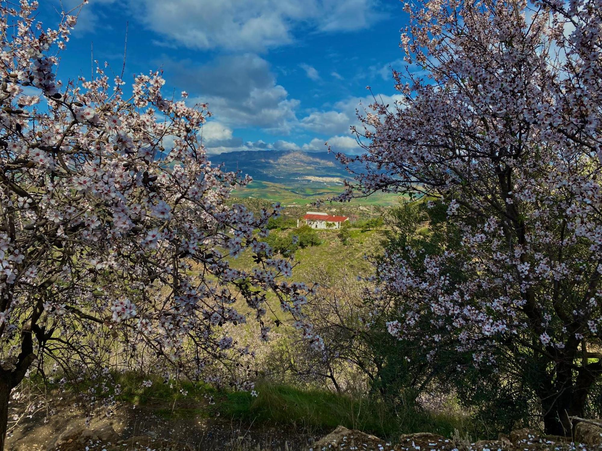 El Sueno, Cortijo Andalusi Del Siglo XIX Villa Almogía Esterno foto