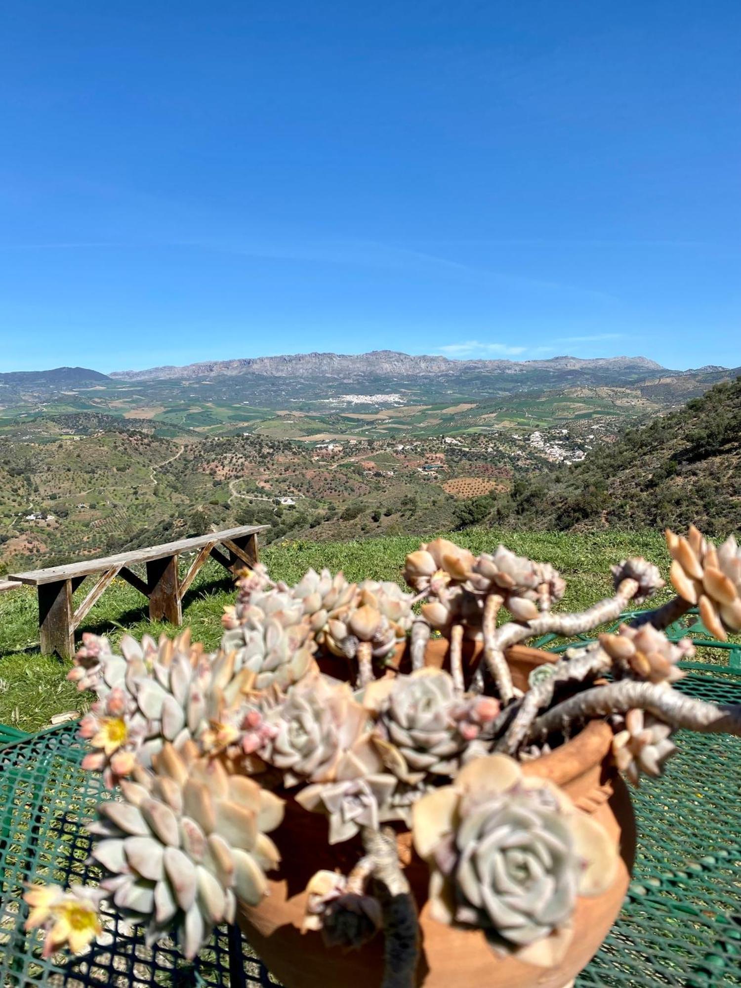 El Sueno, Cortijo Andalusi Del Siglo XIX Villa Almogía Esterno foto